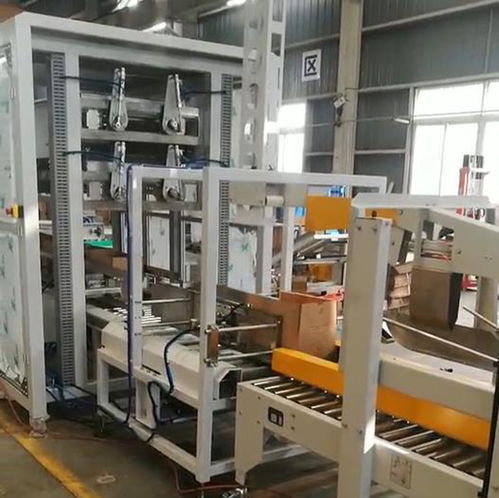 ZYL-ZX05自动食用油装箱机 高效、可靠的跌落式装箱自动化解决方案